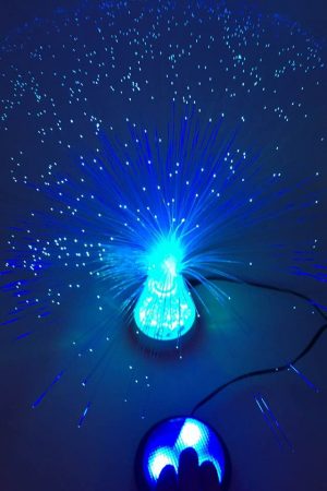 Switch Adapted Fiber Optic Light