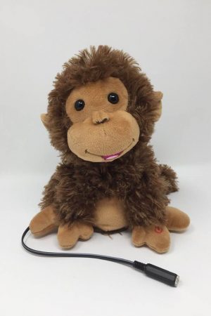 Switch Adapted Monkey